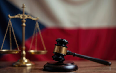 Czechia’s Rejection of the Istanbul Convention Complies with International Law, Says Ordo Iuris in Opinion for the UN